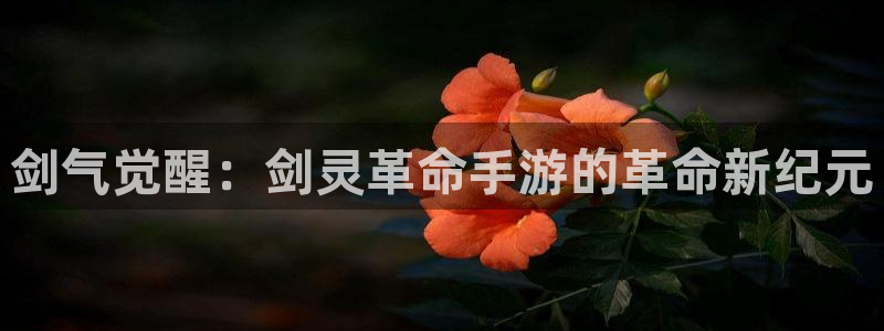 巅峰国际app：剑气觉醒：剑灵革命手游的革命新纪元