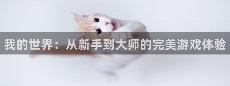 巅峰国际平台：我的世界：从新手到大师的完美游戏体验