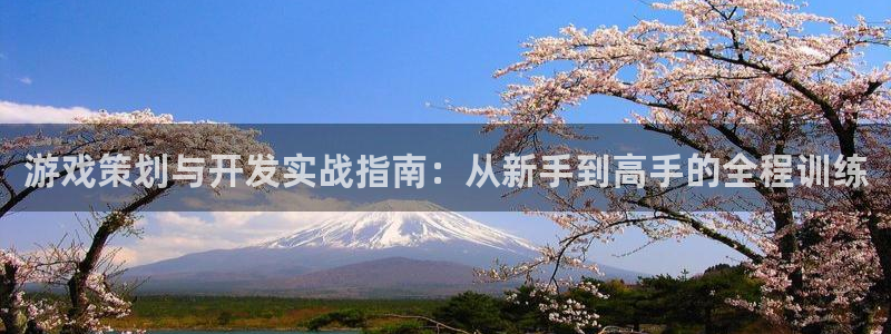 巅峰国际app：游戏策划与开发实战指南：从新手到高手的全程训
