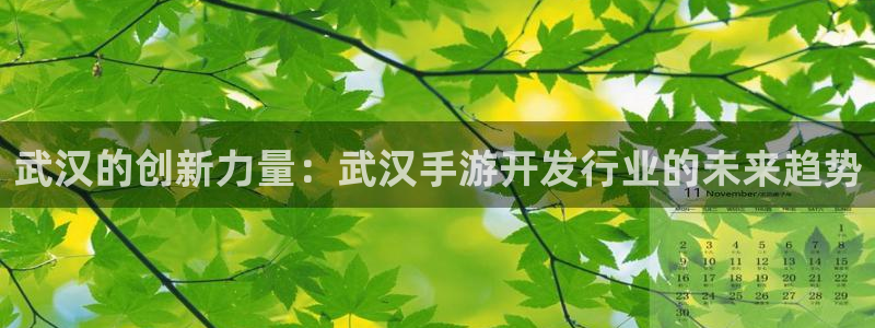 巅峰国际平台：武汉的创新力量：武汉手游开发行业的未来趋势