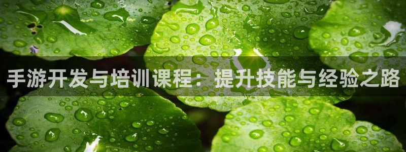 巅峰国际app：手游开发与培训课程：提升技能与经验之路