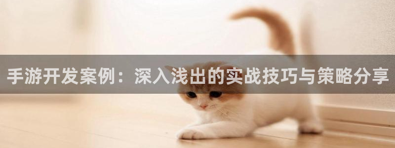 巅峰国际下载：手游开发案例：深入浅出的实战技巧与策略分享