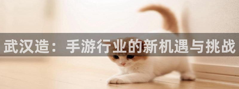 巅峰国际登录：武汉造：手游行业的新机遇与挑战