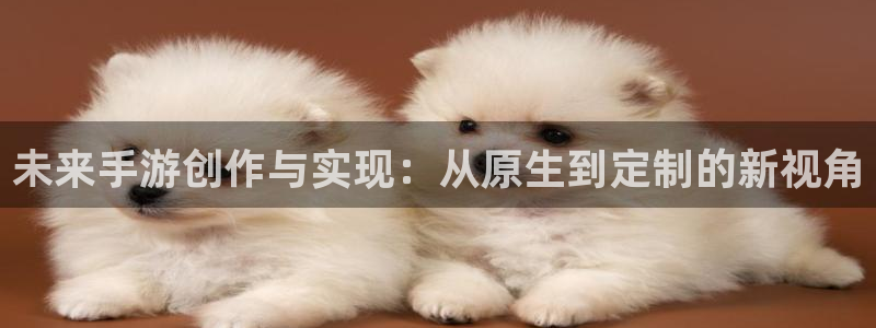 巅峰国际：未来手游创作与实现：从原生到定制的新视角
