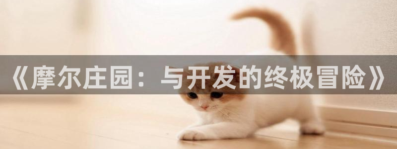 巅峰国际登陆：《摩尔庄园：与开发的终极冒险》