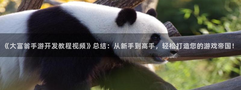 巅峰国际：《大富翁手游开发教程视频》总结：从新手到高手，轻松