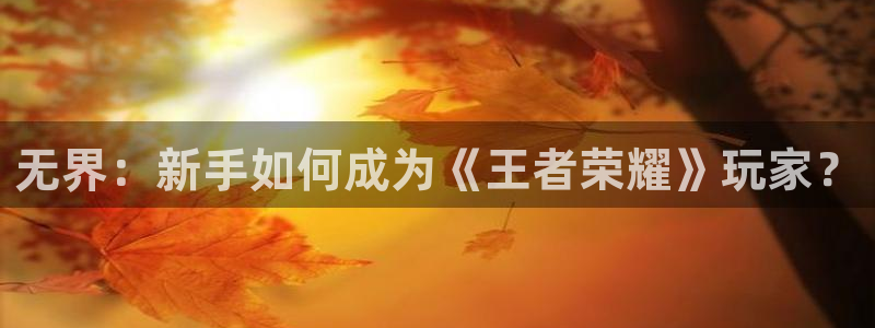 巅峰国际登陆：无界：新手如何成为《王者荣耀》玩家？