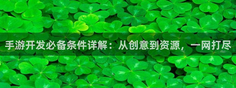 巅峰国际官网：手游开发必备条件详解：从创意到资源，一网打尽