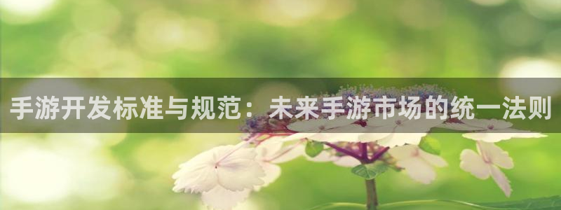 巅峰国际首页：手游开发标准与规范：未来手游市场的统一法则