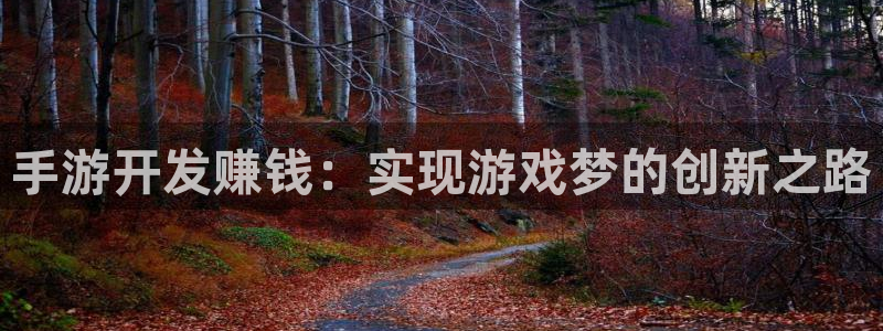 巅峰国际首页：手游开发赚钱：实现游戏梦的创新之路
