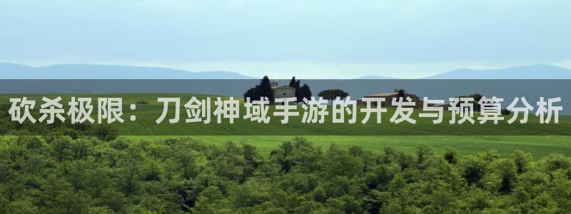 巅峰国际登录：砍杀极限：刀剑神域手游的开发与预算分析