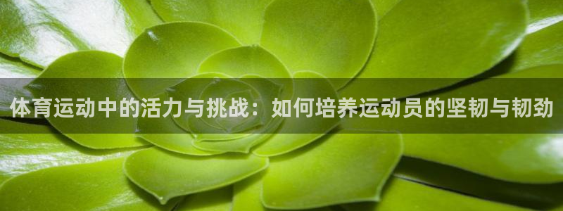 皇冠277体育：体育运动中的活力与挑战：如何培养运动员的坚韧与韧劲