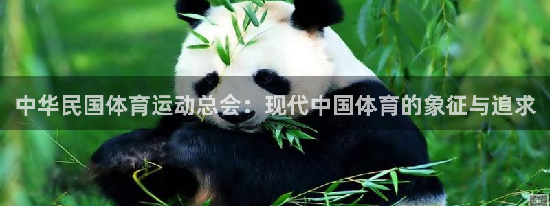 77体育官网：中华民国体育运动总会：现代中国体育的象征与追求