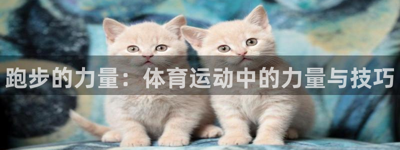 77体育官网：跑步的力量：体育运动中的力量与技巧