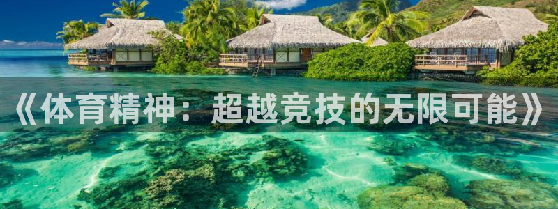 77体育官网：《体育精神：超越竞技的无限可能》