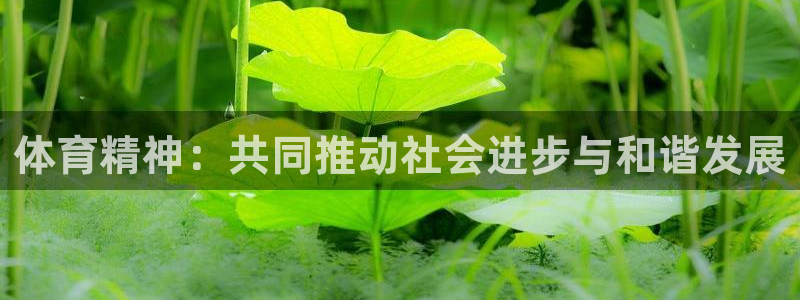 皇冠277体育：体育精神：共同推动社会进步与和谐发展