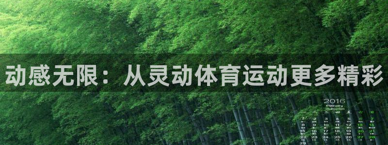 皇冠277体育：动感无限：从灵动体育运动更多精彩
