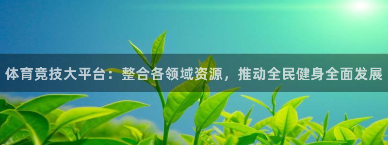 77体育app下载官网：体育竞技大平台：整合各领域资源，推动全民健身全面发展